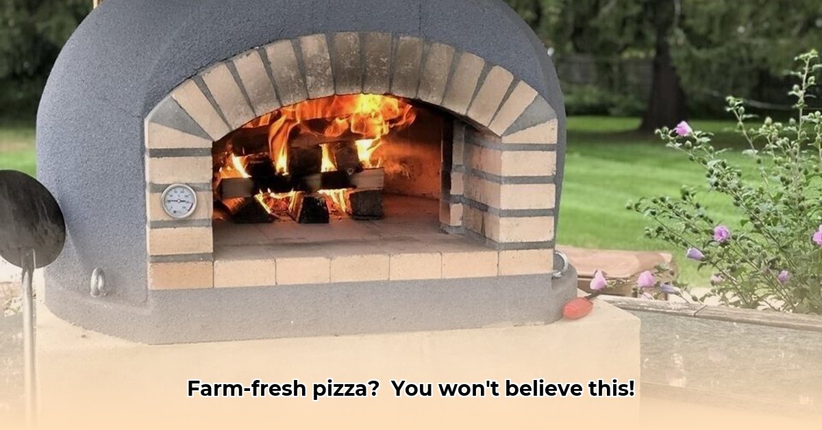 tractor-supply-pizza-oven